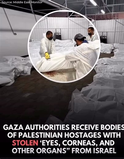 Hazami Barmada on Instagram: "Authorities in Gaza have condemned the Israeli army for the theft of organs from Palestinian hostages and are calling for an international investigation into this horrific and inhumane crime. Over the past three days, the Israeli occupation returned 120 bodies through the International Committee of the Red Cross, according to Ismail Thawabta, director of Gaza’s Government Media Office. “Most of the bodies arrived in devastating condition, bearing clear signs of fiel