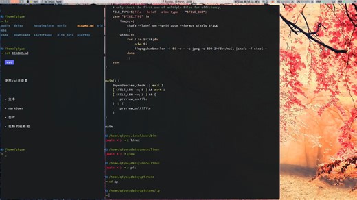 你的cat可以看图片吗？