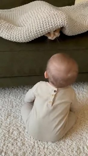 24K views · 77K reactions | Cat played peekaboo from under the blanket.. and the baby LOST IT #cutebaby #funnycat #peekabookitty #babylaugh #petcomedy #cutepets #viralreel #homefootage #babyandpet | Fluffy Moments | Facebook