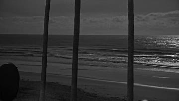 Del Mar Surf Report, Surf Forecast and Surf Cams - Surfline