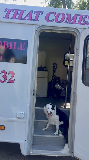 🐾A week on the road with Alpha Dog Mobile Grooming! From fluffy makeovers to tail-wagging transformations, we bring the spa right to your driveway. Here’s what a typical week looks like with our crew! ✂️🐶✨ #wepulluptheyglowup #alphadogmobilegrooming #mobilegroomingservice | ALPHA DOG Mobile Grooming