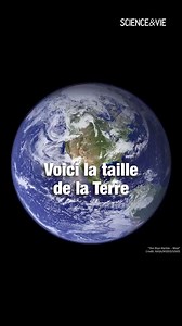 Science & Vie on Reels