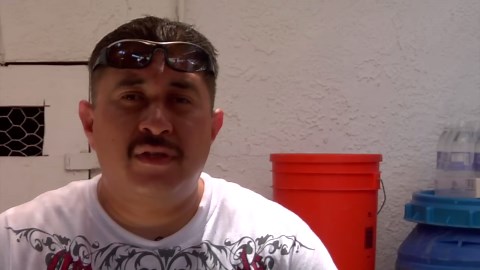 American Bully Kennel - Offroad Kennels