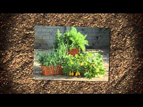 A Garden Patch - Grow Boxes - Container Gardening
