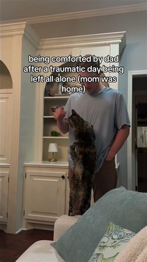 Happy Mother’s Day? #cats #catmom #catdad #funnycat