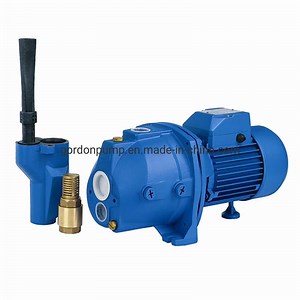 [Hot Item] Self-Priming Jet Deep Well Water Pump with Brass Impeller (JDW)