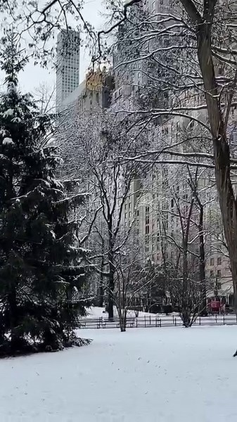 A snow day in New York is pure magic. The city transforms into a winter wonderland, iconic landmarks blanketed in snow. ⛄️❄️☃️ #newyorker #newyork #nyc #newyorkcity #snowinnyc #nycsnow #snowday | New York Story