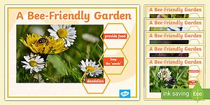 Bee-Friendly Garden Posters