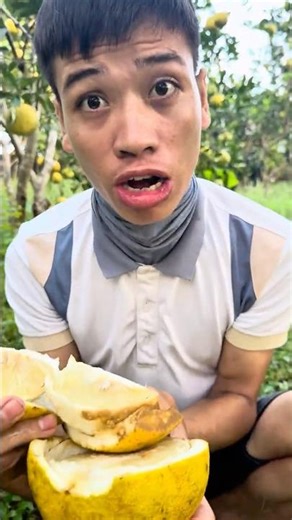 “Smart Dad Scores a Perfect 10 Throw with a Grapefruit!”#SmartDad #GrapefruitThrow