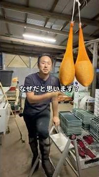全力で守りに行きます🌾 #農業 #富士宮市 #お米農家 #お米