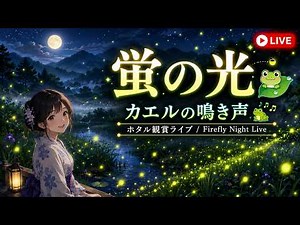 Tokyo Akiruno City Firefly Viewing Live / Tokyo Firefly Night Live【LIVE・6/23(Tue)】Firefly Glow an...