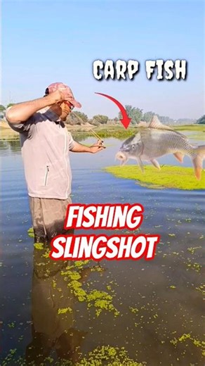 slingshot fishing target shooting skill 🎯 #shortsfeed #fishing #slingshot