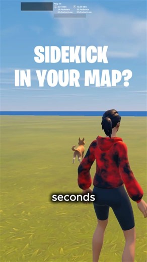 Sidekicks In Your Fortnite Map 🐾🐶
