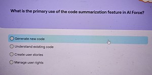 What is the primary use of the code summarization feature in AI... | Filo