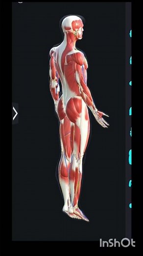 human anatomy and physiology #song #music #lyrics #facts #pharmcist #anatomy #motivation