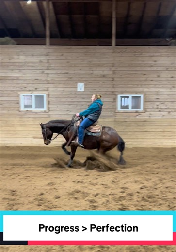 Mastering Sliding Stops in Reining Lessons