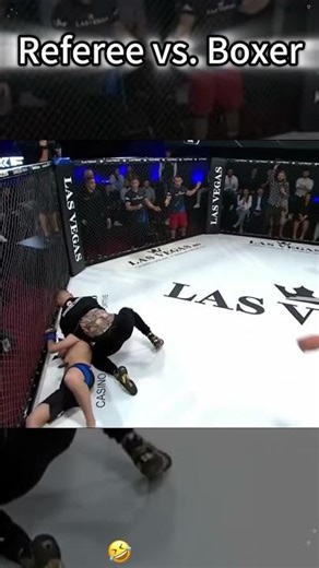 Referee vs Boxer#ufc #referee #fighter #usa #mma