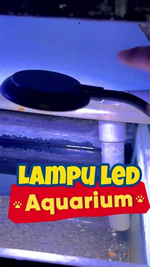 Mini LED Aquarium: Perfect for Your Space