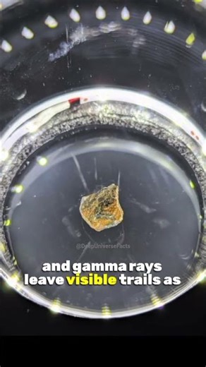 Watch a Radioactive Uranium Isotope Fire Alpha, Beta & Gamma Rays Inside a Cloud Chamber! ☢️ #shorts