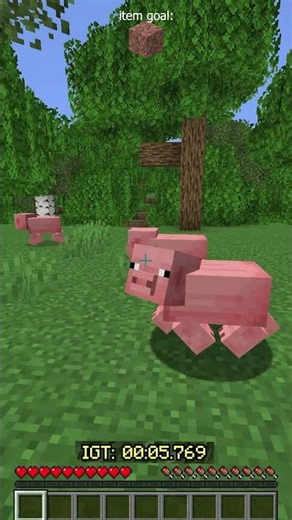 Minecraft Speedrun Random Item Part.2 - GRANITE