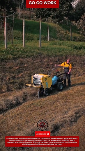 Mini Hay Baler Machine for Fast Grass Collection and Baling in Small Farming Areas