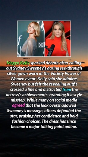 Megyn Kelly rails against Sydney Sweeneys see through silver dress | Daily Cheers