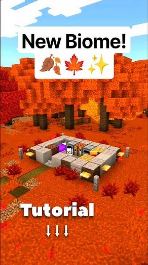 New Dappled Forest on Minecraft!!🍁🍂✨