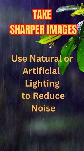 6 Essential Tips to Take Sharp professional Images Every Time