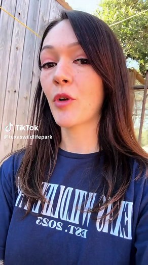 Prairie Dog's Good Choice at the Zoo