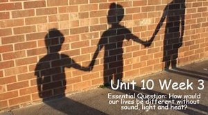 Unit 10 Week 3 Benchmark Florida Powerpoint - 1st Grade