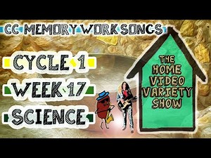 CC Cycle 1 Week 17 Science: Parts of a Volcano