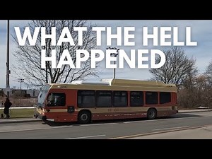 This Was Supposed To Be A Peaceful Bus Ride In Hamilton