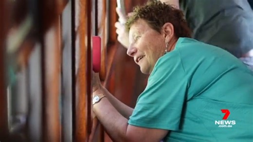 1.4K views · 14 reactions | The Kuranda Scenic Rail could soon become Australia's first battery powered passenger train, as the state government explores new ways to reach net-zero. 7NEWS at 6pm. More local news: 7news.com.au/news/qld #7NEWS | 7NEWS Cairns | Facebook