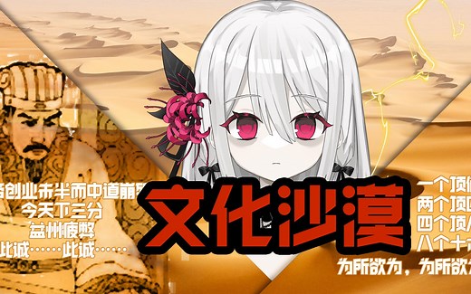 虚拟主播每日放送：文化沙漠