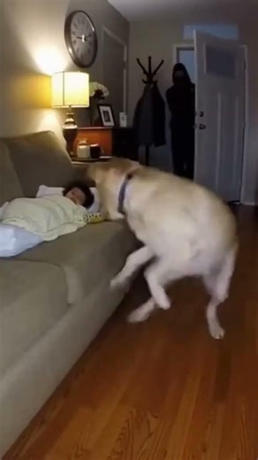 so crazy #viral #trending #short