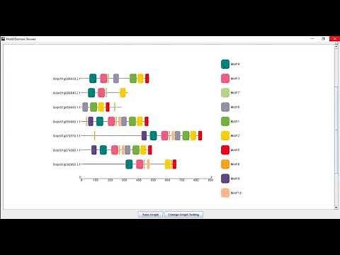 Gene Structure Visualization