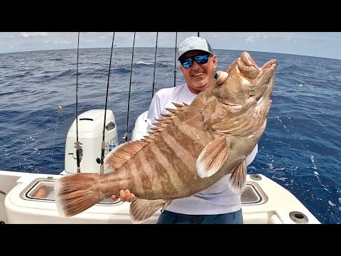 My BIGGEST Misty Grouper EVER! (Full Fish Breakdown Catch Clean & Cook)