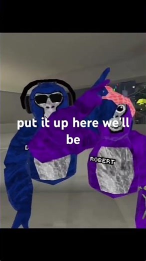 Fan code #gorillatag #monkey #music