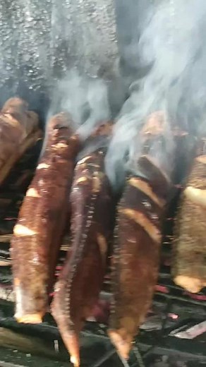 MurifyShop on TikTok