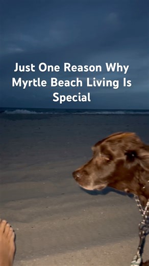 Living the Myrtle Beach Life | Coastal Living at Its Finest