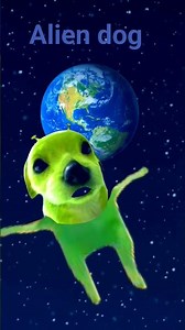 alien dog