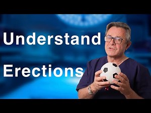 What causes Erectile Problems and How do Erections work?