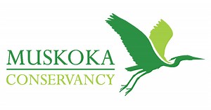 Muskoka Conservancy | Nature Conservation