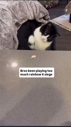 Martin Copping (@martincopping)’s video of lemme tell you something