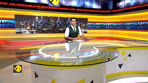 4.5K views · 57 reactions | Watch | Dolphin calf born at the Chicago zoo Shivan Chanana reports | WION | Facebook