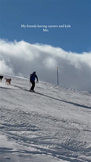 Skiing with Dogs in Zermatt: An Unforgettable Adventure