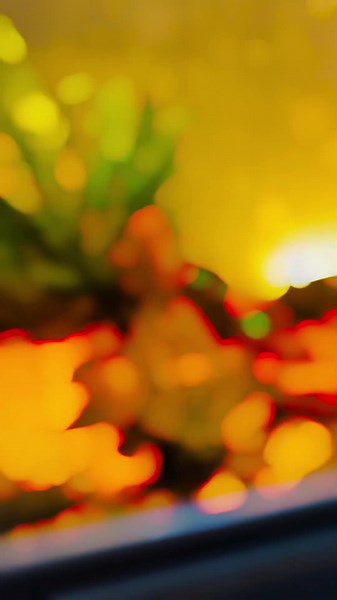 GHL Aquariumproducts on TikTok