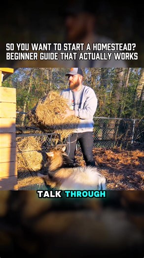 Beginner's Guide to Starting a Homestead Successfully