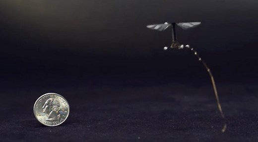 RoboBee: Controlled flight of a robotic insect