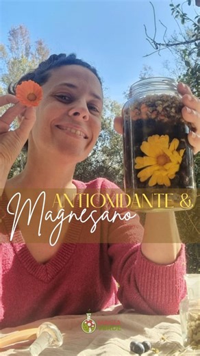 Magnesano Biodisponible: Un jarabe vivo, cargado de antioxidantes y minerales esenciales Este fermento que preparo con arándanos frescos, flores de caléndula, manzanilla, miel y un toque de vinagre es mucho más que un jarabe casero: es una fuente poderosa de manganeso, antocianinas y enzimas vivas. El manganeso es uno de los minerales protagonistas en este tipo de preparaciones. Es clave para: • activar la energía celular • proteger los tejidos • reparar la piel desde adentro • modular la inflam